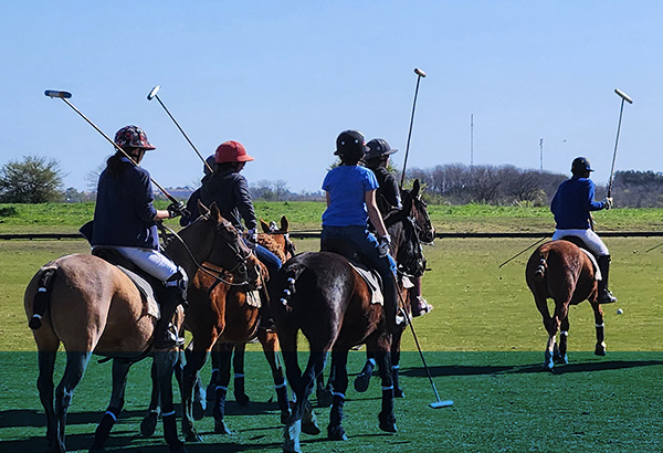 A DAY IN THE PAMPAS